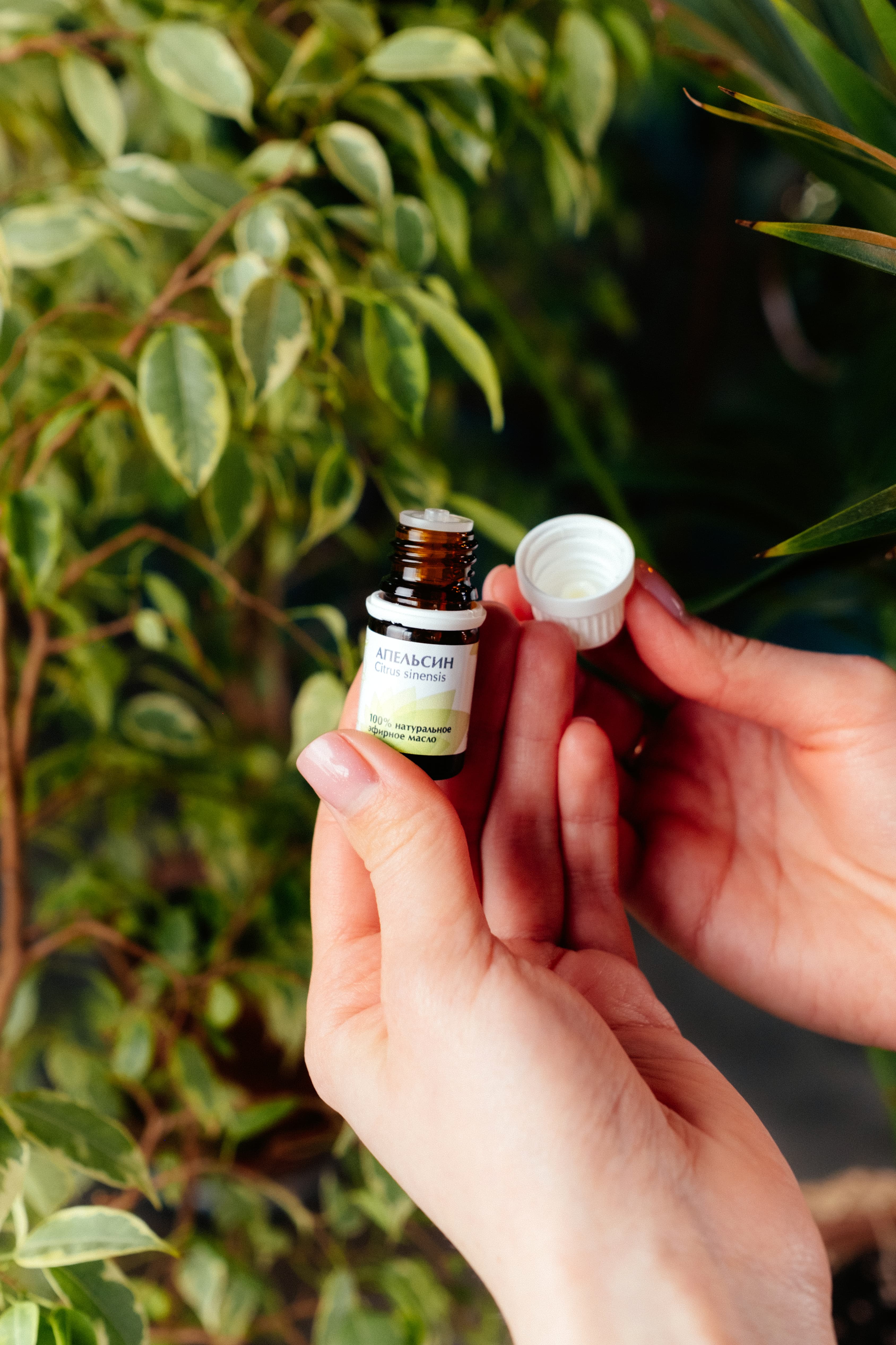 Апельсин эфирное масло - 5 мл