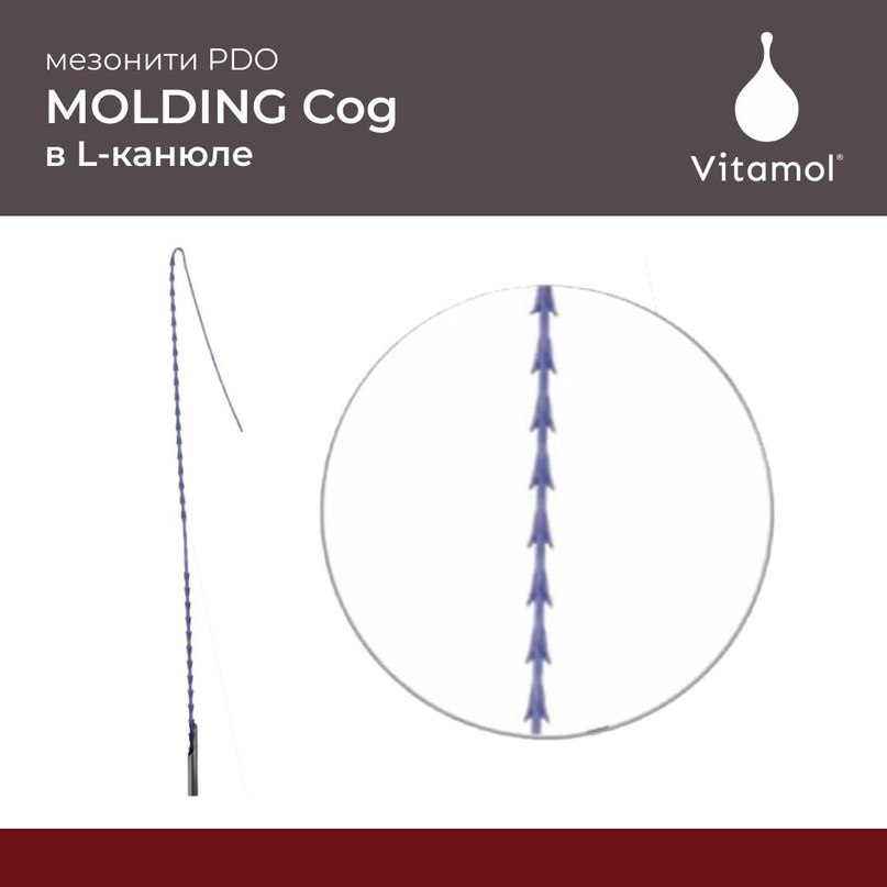 Vitamol MOLDING COG в канюле с литыми когами 18Gx100 mm (2 шт)